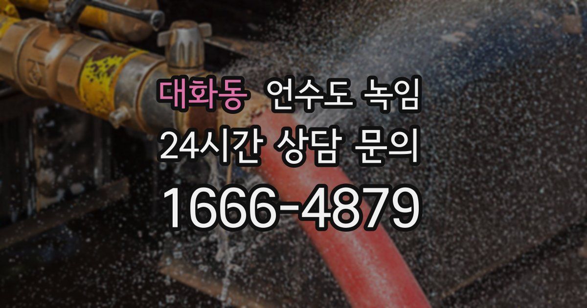 대화동 언수도 녹임