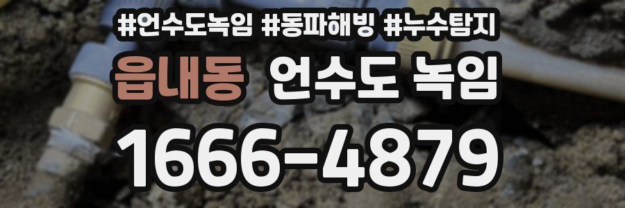 읍내동 언수도 녹임