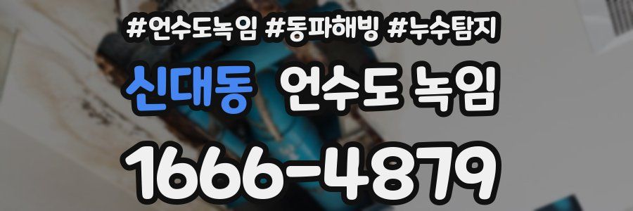 신대동 언수도 녹임