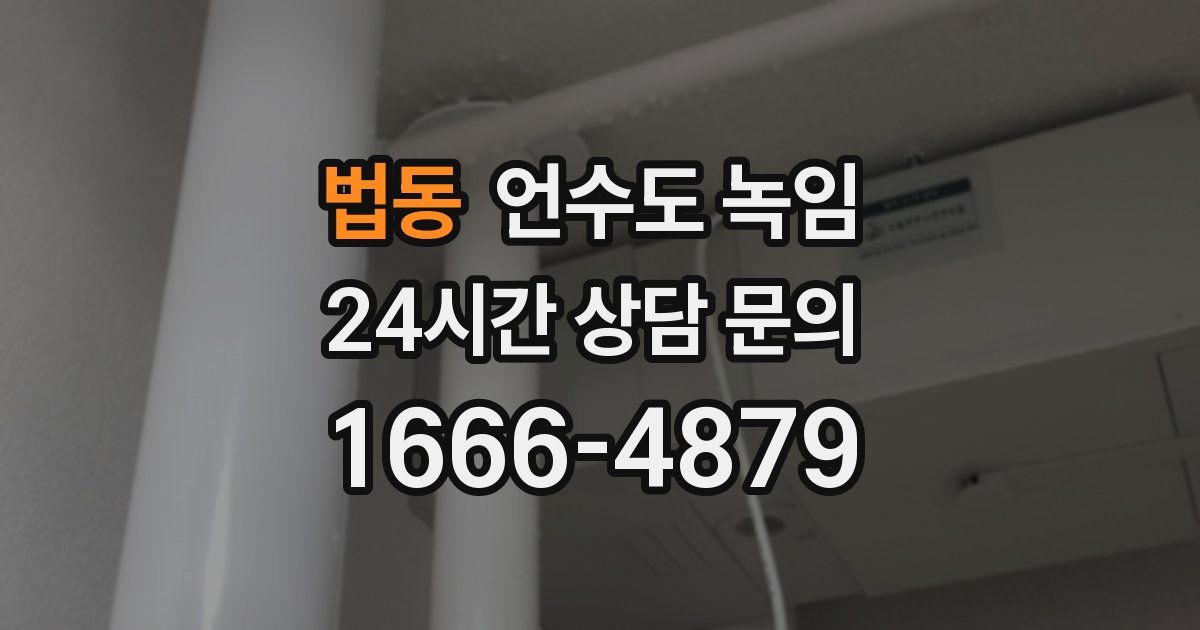 법동 언수도 녹임