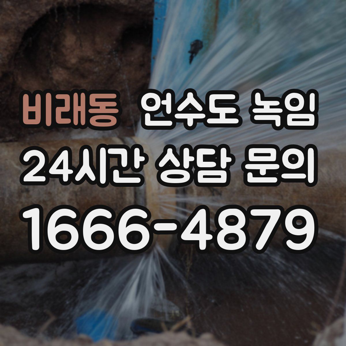 비래동 언수도 녹임