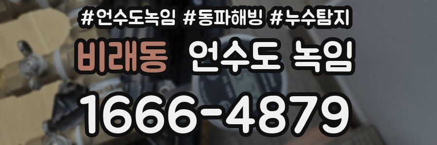 비래동 언수도 녹임