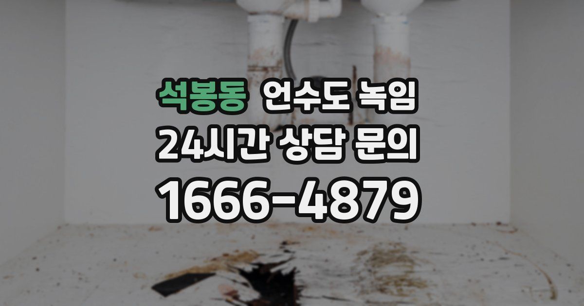 석봉동 언수도 녹임