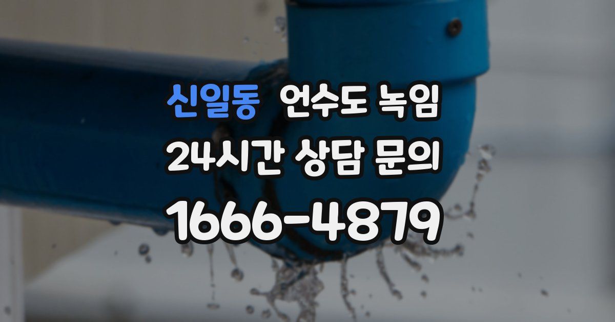 신일동 언수도 녹임