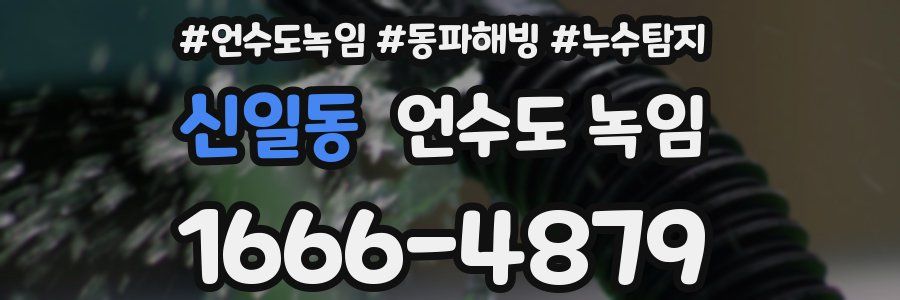 신일동 언수도 녹임