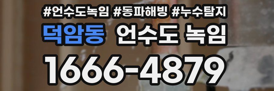 덕암동 언수도 녹임