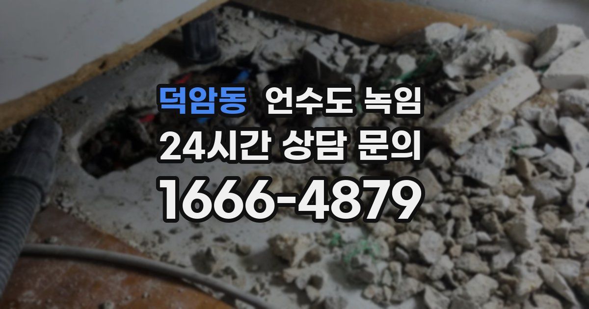 덕암동 언수도 녹임