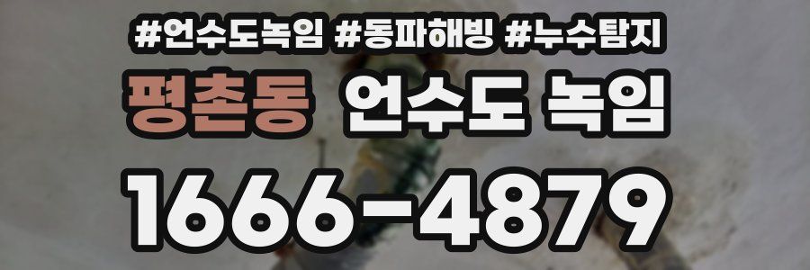 평촌동 언수도 녹임