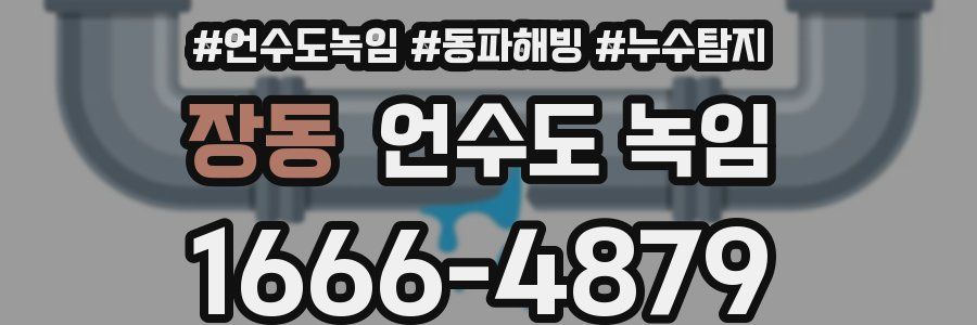 장동 언수도 녹임