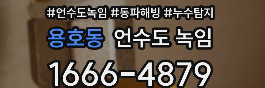 용호동 언수도 녹임