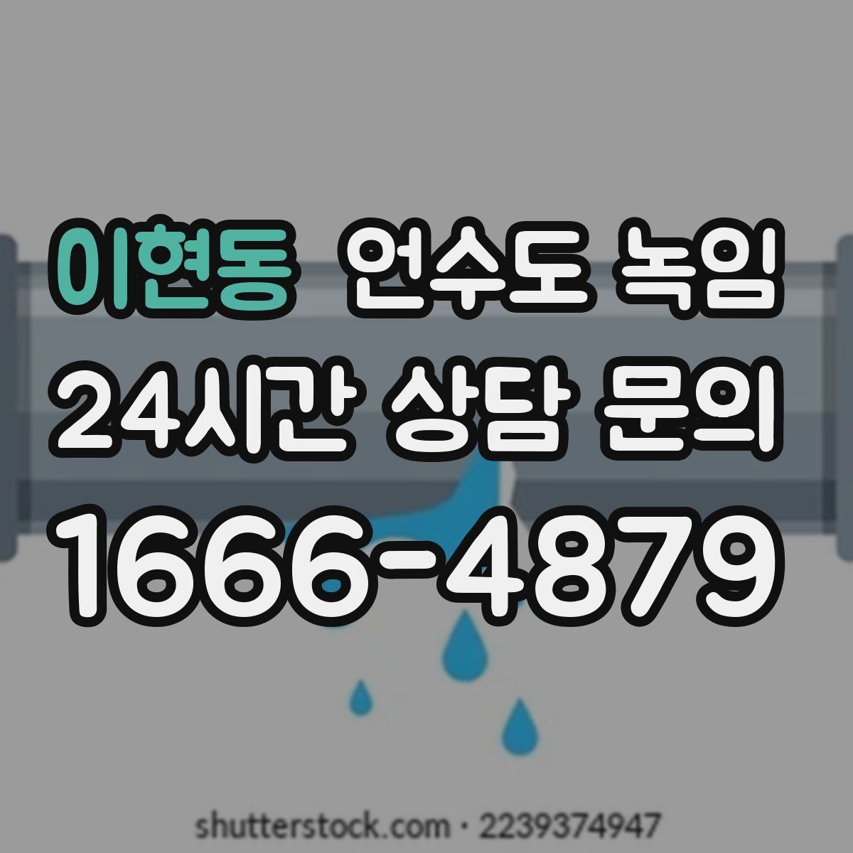 이현동 언수도 녹임