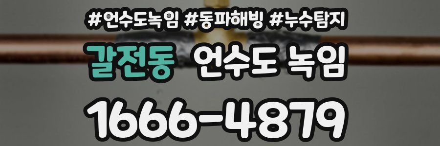 갈전동 언수도 녹임