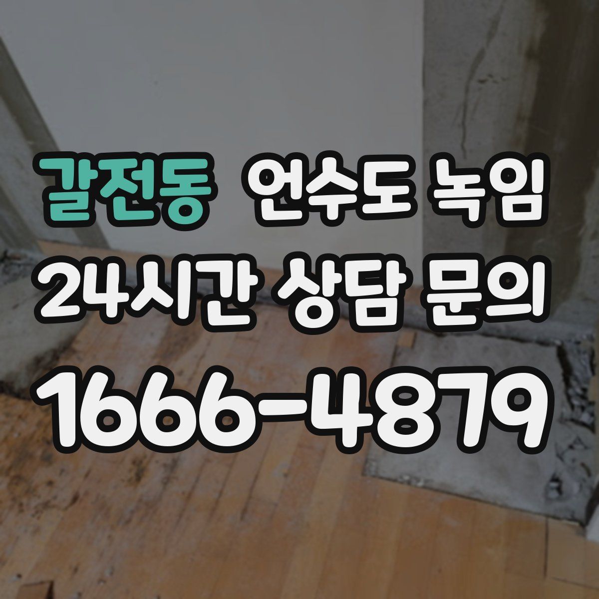 갈전동 언수도 녹임