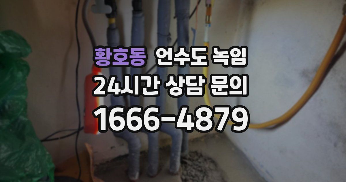 황호동 언수도 녹임