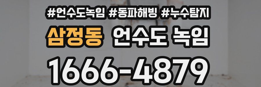 삼정동 언수도 녹임