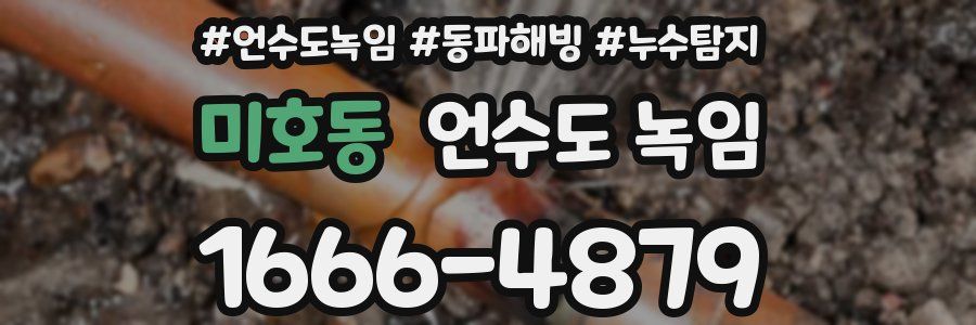 미호동 언수도 녹임