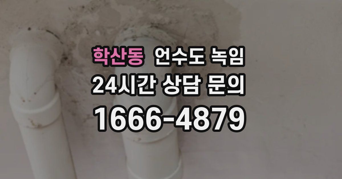 학산동 언수도 녹임