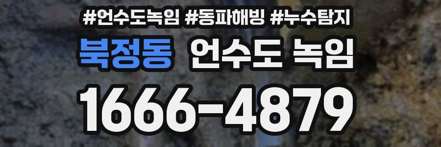 북정동 언수도 녹임