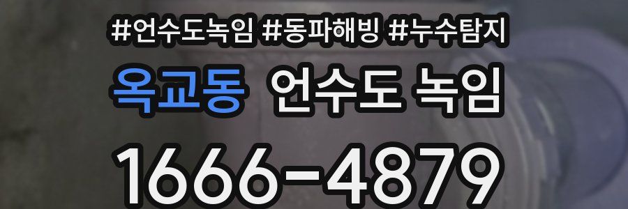 옥교동 언수도 녹임