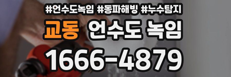 교동 언수도 녹임