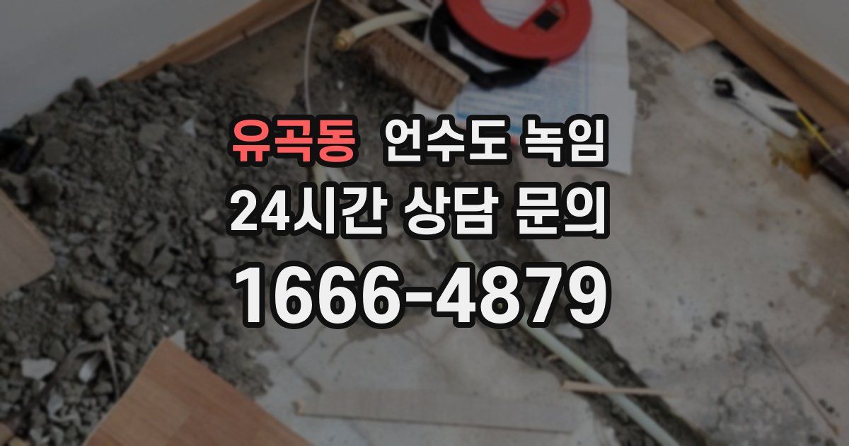 유곡동 언수도 녹임