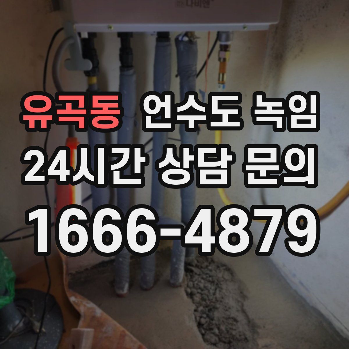 유곡동 언수도 녹임