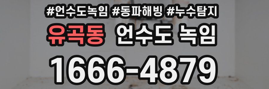 유곡동 언수도 녹임