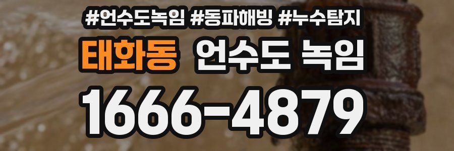 태화동 언수도 녹임