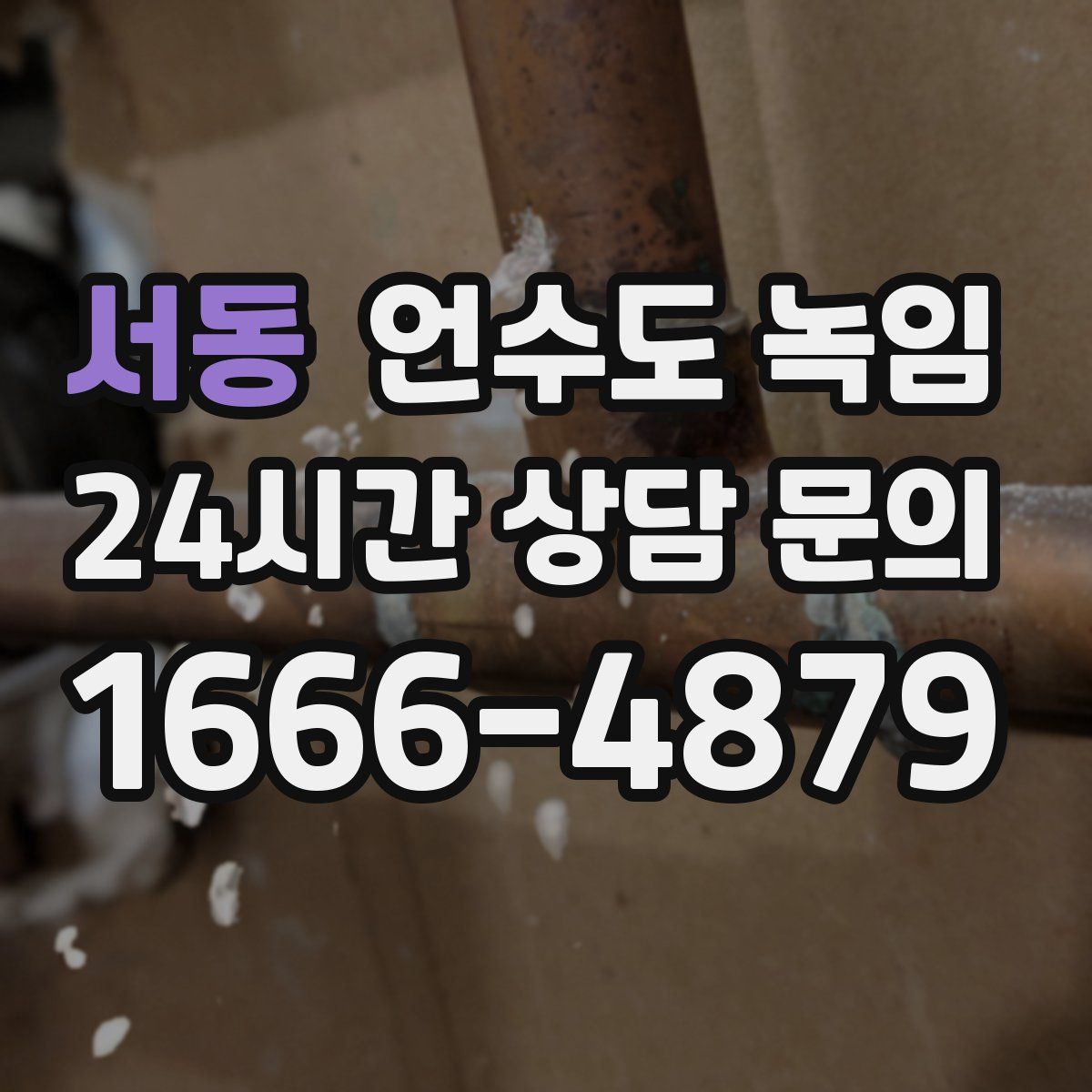 서동 언수도 녹임