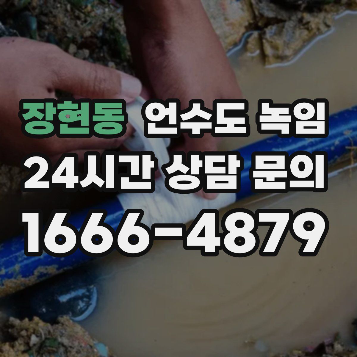 장현동 언수도 녹임