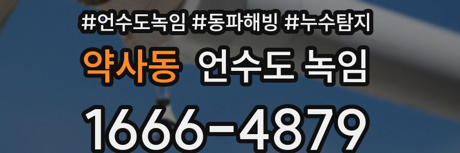 약사동 언수도 녹임