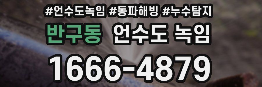 반구동 언수도 녹임