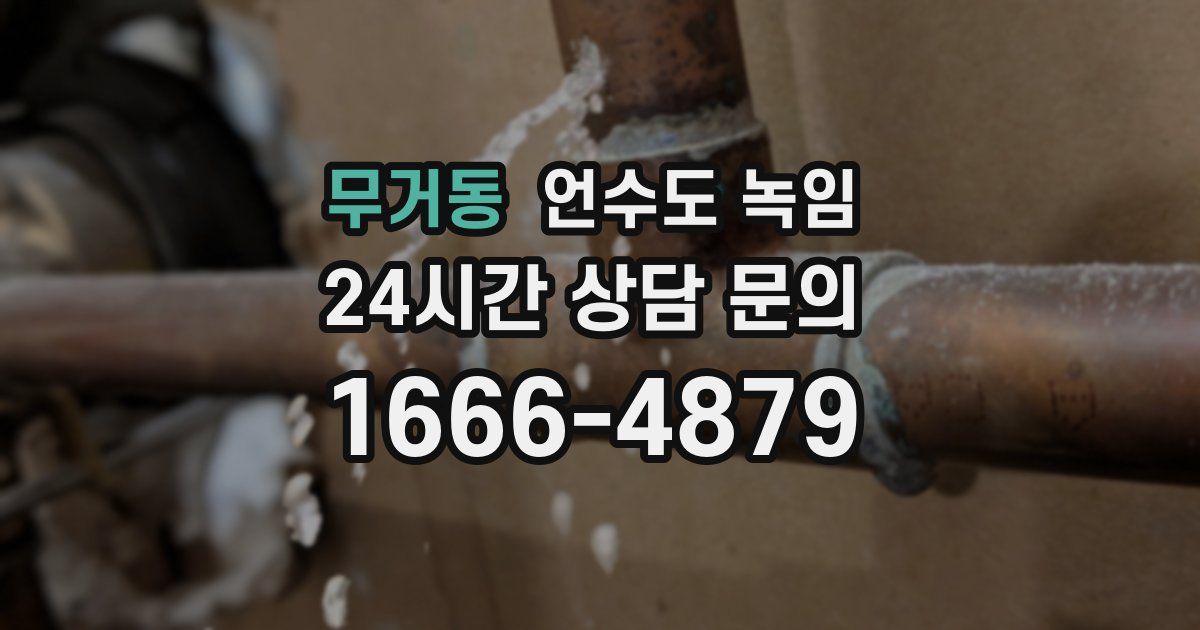 무거동 언수도 녹임