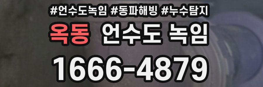 옥동 언수도 녹임