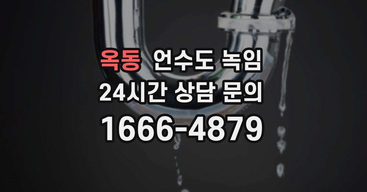 옥동 언수도 녹임