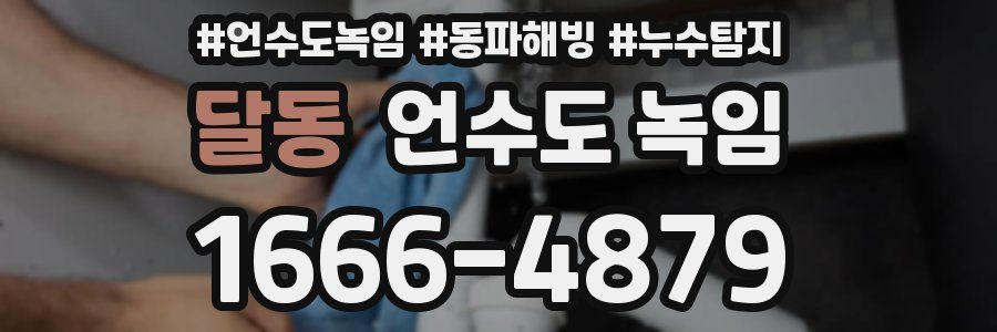 달동 언수도 녹임