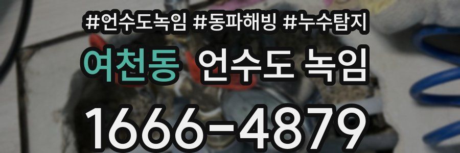 여천동 언수도 녹임