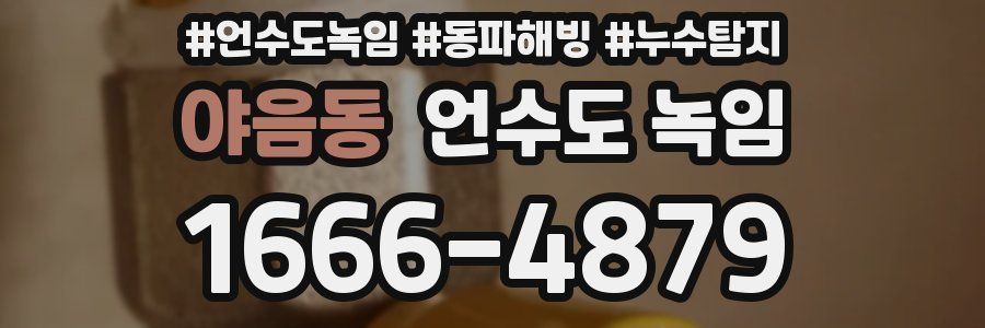 야음동 언수도 녹임