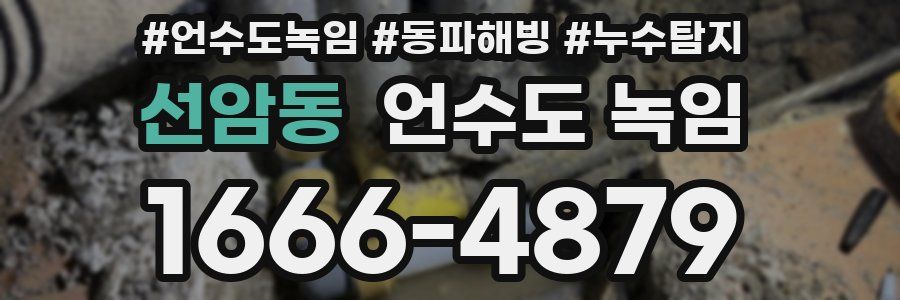 선암동 언수도 녹임