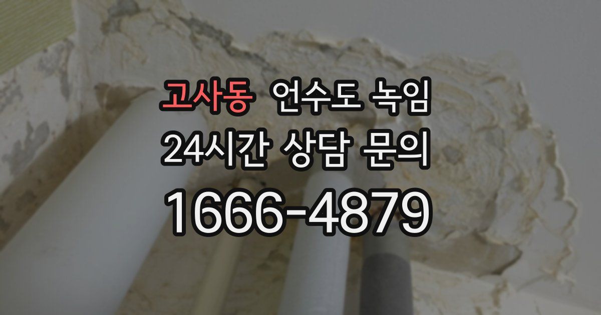 고사동 언수도 녹임