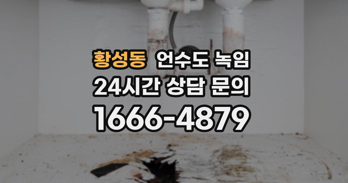 황성동 언수도 녹임