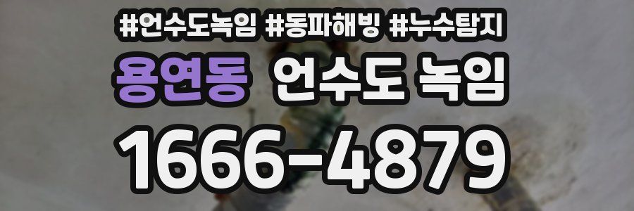 용연동 언수도 녹임