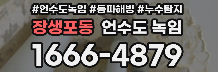 장생포동 언수도 녹임