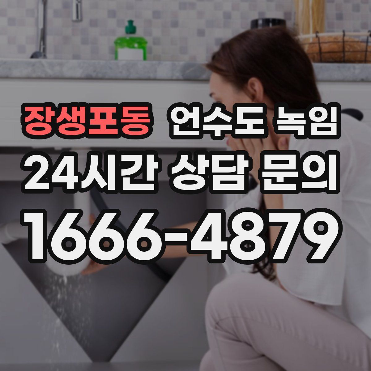 장생포동 언수도 녹임