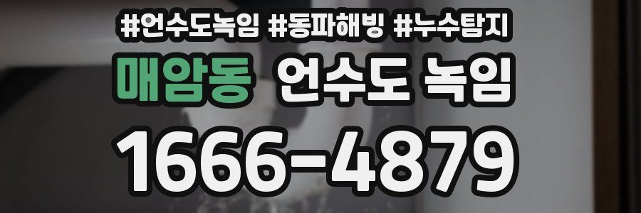 매암동 언수도 녹임