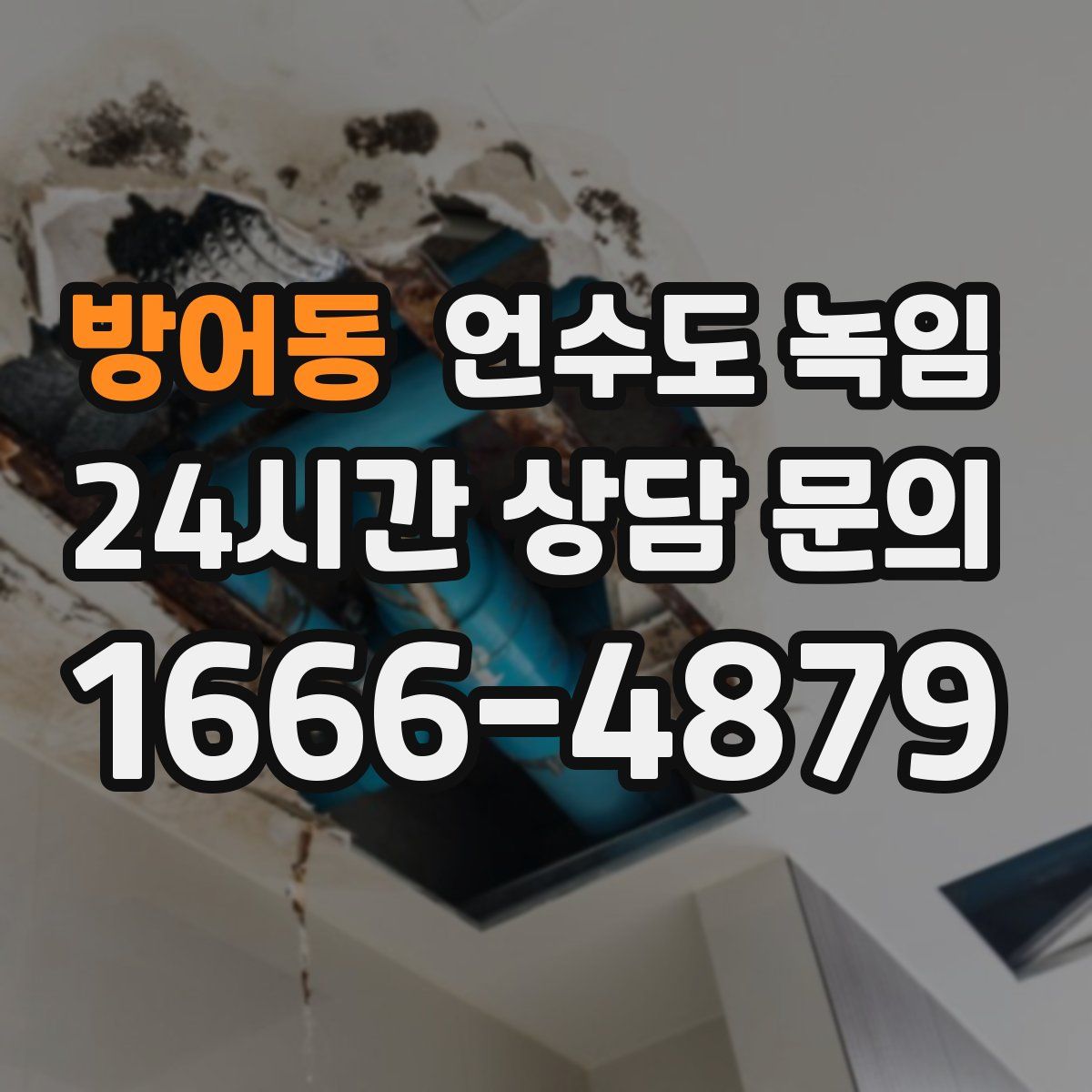 방어동 언수도 녹임