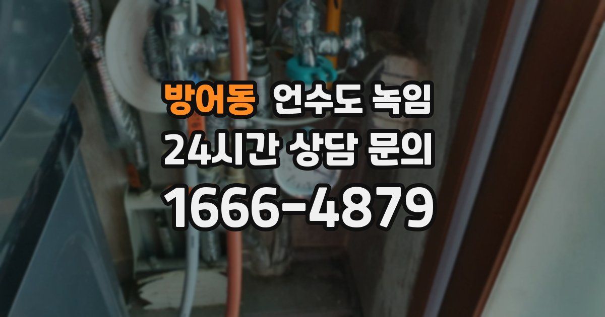 방어동 언수도 녹임