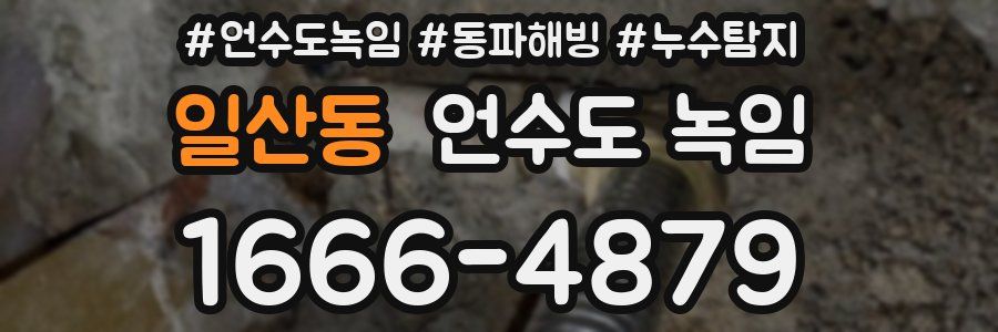 일산동 언수도 녹임