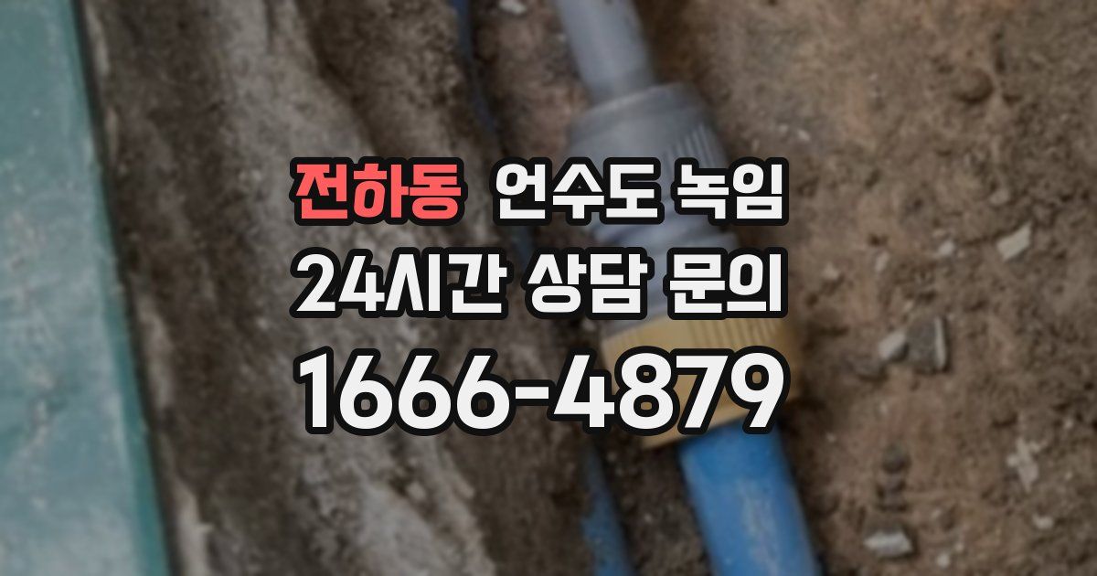 전하동 언수도 녹임