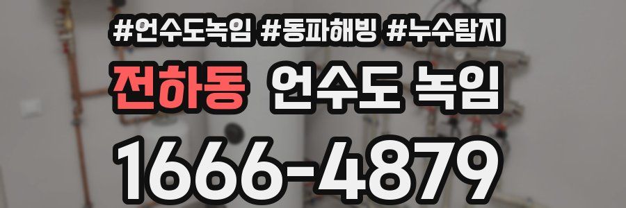 전하동 언수도 녹임